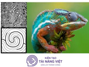 Chủng vân tay WD_ Đặc điểm, tính cách, phương pháp giáo dục trẻ